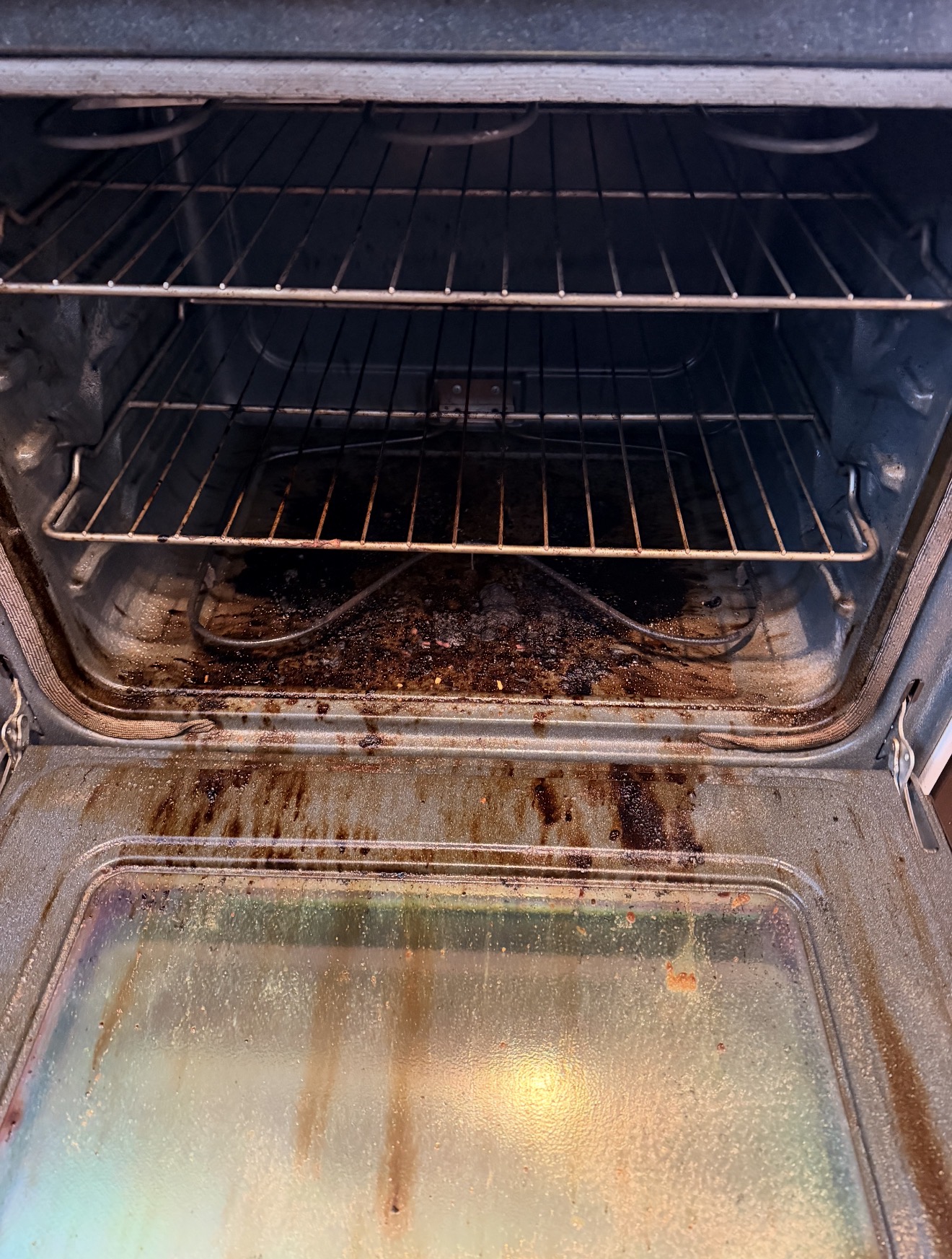 Before cleaning: oven interior and open door